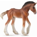 Collecta Figūrėlė - Kumeliukas Collecta Figūrėlė - Kumeliukas