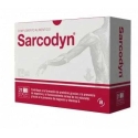 Actapharma Sarcodyn Ananaksen 21 kpl Actapharma Sarcodyn Ananaksen 21 kpl