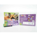 Memory Game Horses PLX PUD ALEXANDER 2780 ALX Memory Game Horses PLX PUD ALEXANDER 2780 ALX