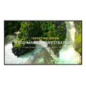 LG 75UL3Q-E Signage Display Digital signage flat panel 190.5 cm (75") LED Wi-Fi 350 cd/m² 4K Ultra H LG 75UL3Q-E Signage Display Digital signage flat panel 190.5 cm (75") LED Wi-Fi 350 cd/m² 4K Ultra H