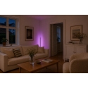Eglo FLATRON-Z viedā grīdas lampa RGB+CCT, melna Eglo FLATRON-Z viedā grīdas lampa RGB+CCT, melna