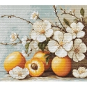 luca S Ristinytė "Aprikoosikukat" 25.5 x 22 cm SB7062
