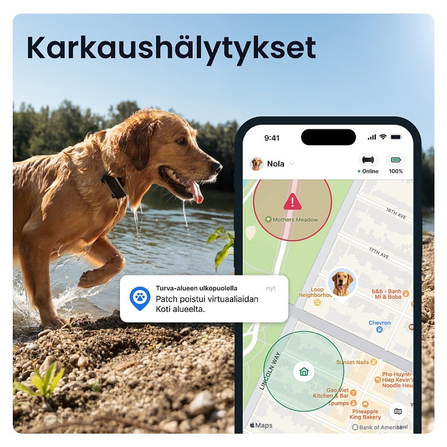 Tractive DOG 6 XL GPS -ошейник для собак – 3