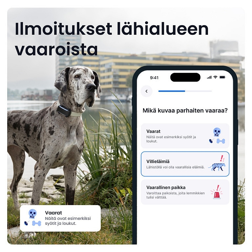 Tractive DOG 6 XL GPS -ошейник для собак – 4