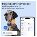 Tractive DOG 6 XL GPS -ошейник для собак