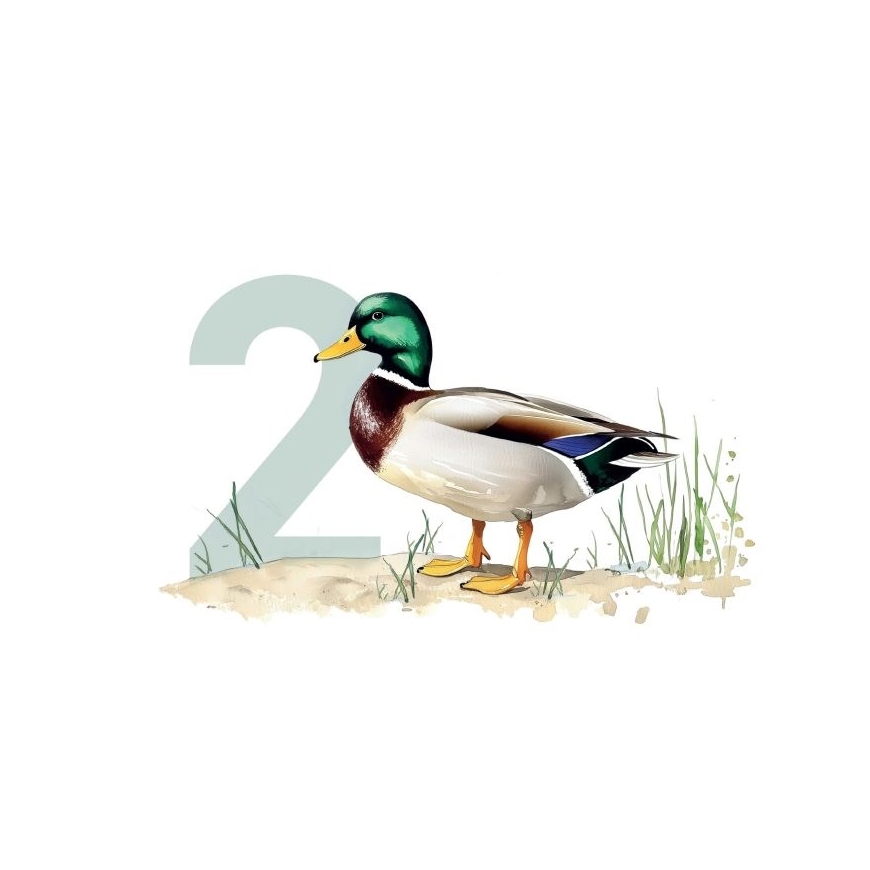 OLLO Cat No. 2 Duck Mono - märg toit kassidele - 85g – 2