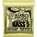 Ernie Ball Mammoth Slinky 2823 5-string bass strings