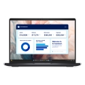 DELL Pro 13 Premium PA13250 DELL Pro 13 Premium PA13250