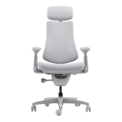 LiberNovo Omni 45 cm Ergonomic Chair (Gray)