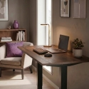 Spacetronik Table Top 100x60x2.5 cm Jarrah