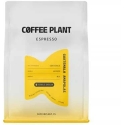 Kahvipavut Coffee Plant Kahvipavut COFFEE PLANT Guatemala Makowce 250g Kahvipavut Coffee Plant Kahvipavut COFFEE PLANT Guatemala Makowce 250g