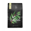 Kafijas pupiņas Coffee Plant Kafijas pupiņas COFFEE PLANT Gvatemala Makowce 250g Kafijas pupiņas Coffee Plant Kafijas pupiņas COFFEE PLANT Gvatemala Makowce 250g