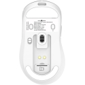 White Shark GAWAIN-W 500mAh/12000DPI/56g, Balts White Shark GAWAIN-W 500mAh/12000DPI/56g, Balts
