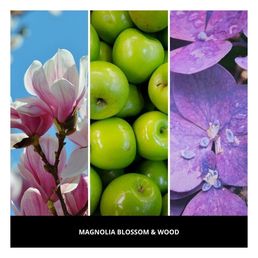 Car Air Freshener PINK - MAGNOLIA BLOSSOM & WOOD MILLEFIORI – 3