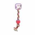 ZOLUX Käterõngas tennisepalliga, käepide 40 cm ZOLUX Käterõngas tennisepalliga, käepide 40 cm