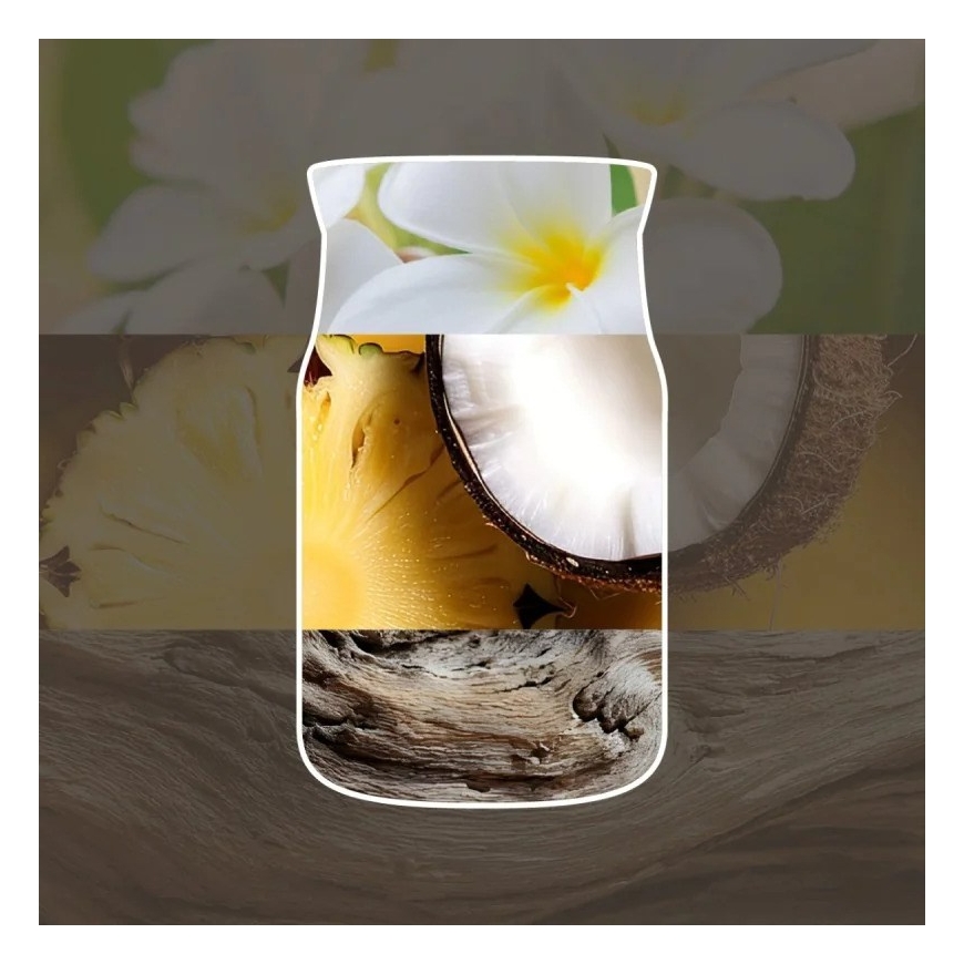 Kvepianti žvakė YANKEE CANDLE BLACK COCONUT 110 g maža – 2