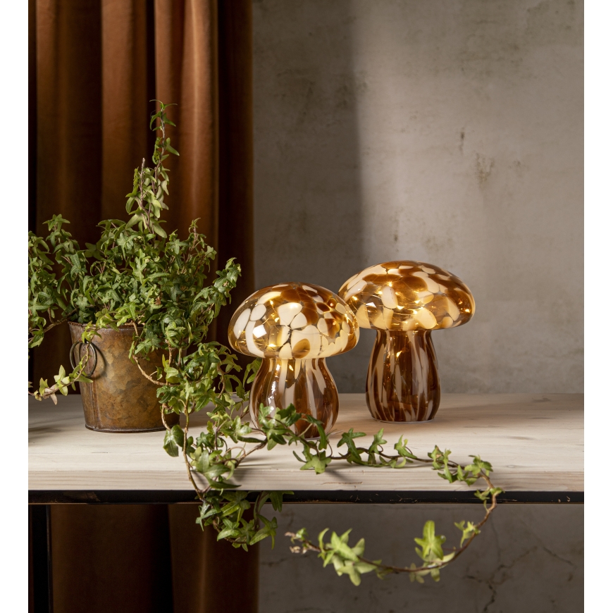 Star Trading Funghi lasikoriste 15 cm, ruskea – 4