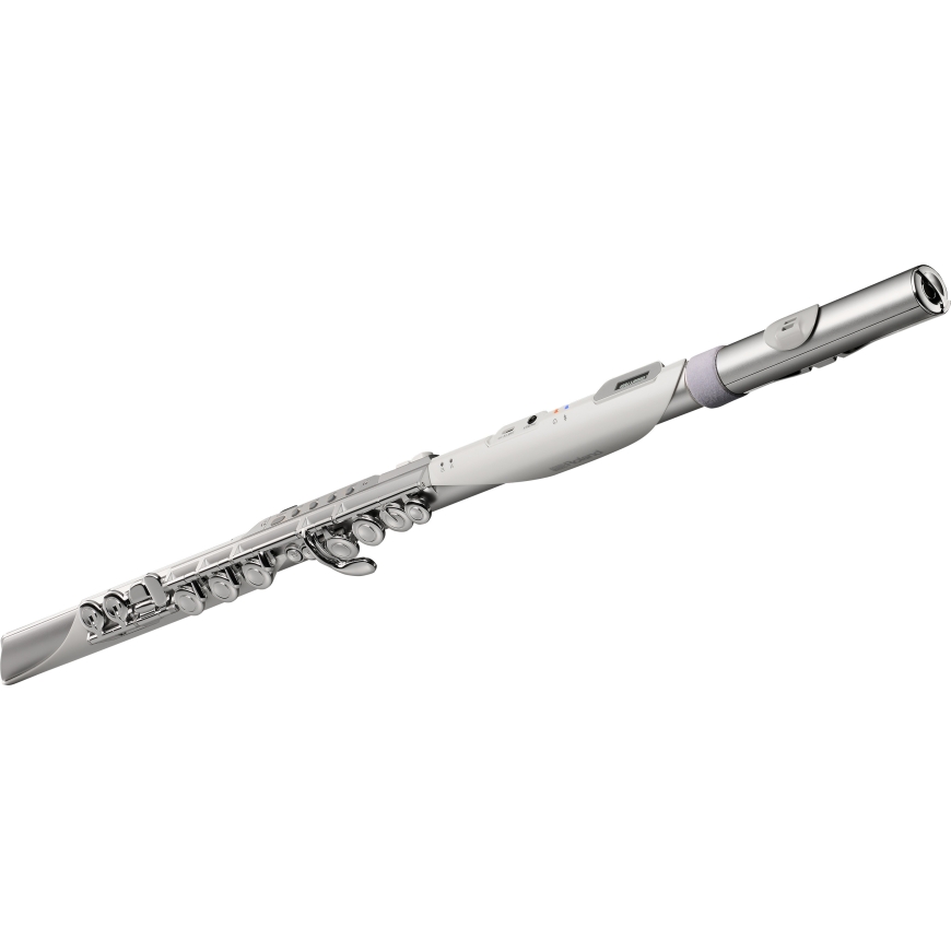 Roland Aerophone Brisa Digitaalne Puhallin – 2