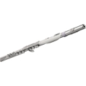 Roland Aerophone Brisa Digital Wind Instrument Roland Aerophone Brisa Digital Wind Instrument
