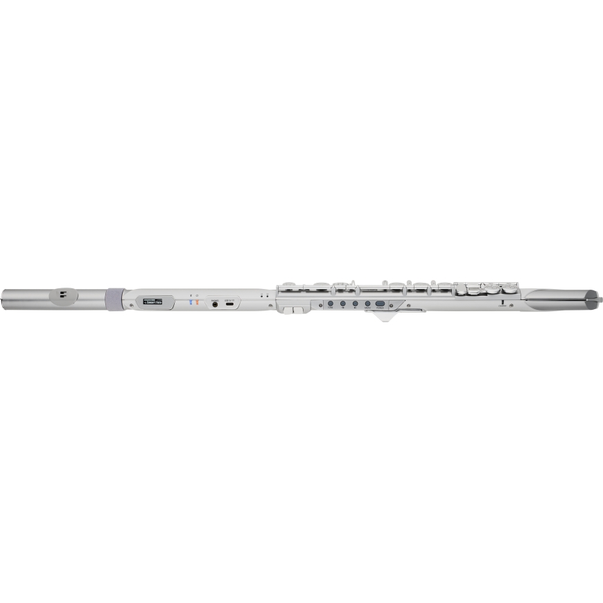 Roland Aerophone Brisa Digitaalne Puhallin – 3
