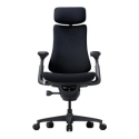 LiberNovo Omni 48 cm Ergonomic Chair (Black) LiberNovo Omni 48 cm Ergonomic Chair (Black)