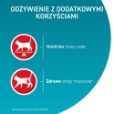 PURINA One Sterilcat Box - šlapi kačių ėdalai - 60x85g PURINA One Sterilcat Box - šlapi kačių ėdalai - 60x85g
