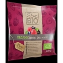 Ökoloogiline külmutatud marja segu 2beBIO, 300g, LT-EKO-001