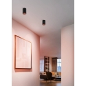 Eglo Carosso-Z nutikas laelamp, must