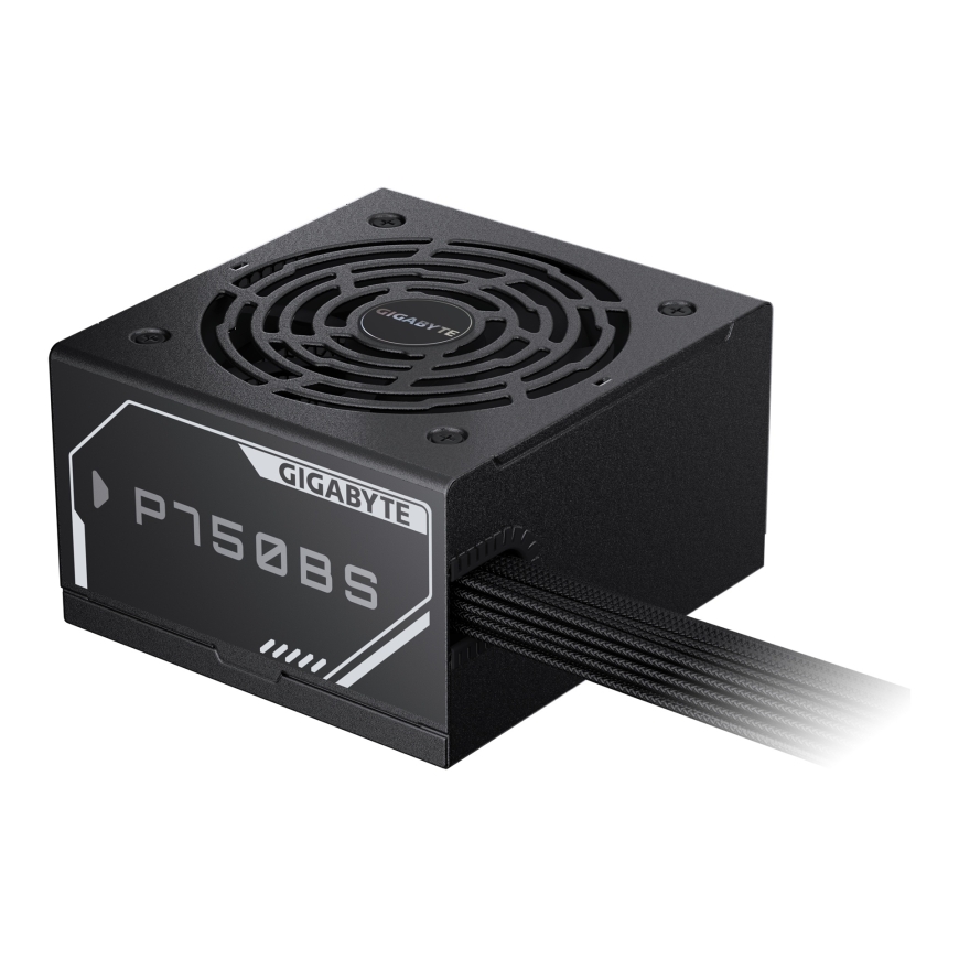 GIGABYTE P750BS toiteallika komponent 750 W 20+4 pin ATX ATX Must – 5