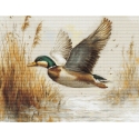 luca S Petit Point komplekt "Kuldne Lend" 21 x 16 cm SG730