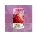 Aromatizētā svece YANKEE CANDLE DABISKĀ ORHIDEJA 110 g Mazā Aromatizētā svece YANKEE CANDLE DABISKĀ ORHIDEJA 110 g Mazā
