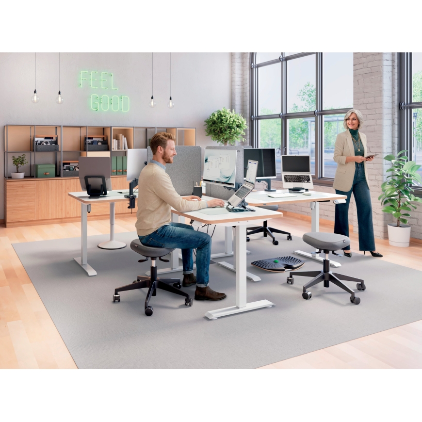Leitz augstuma regulējams galda ekrāns, 70 x 60 cm – 4