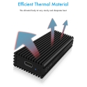 ICY BOX IB-1816M-C31 SSD enclosure Black U.2