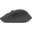 Conceptronic Ergo LORCAN02B Conceptronic Ergo LORCAN02B