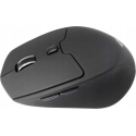 Conceptronic Ergo LORCAN02B Conceptronic Ergo LORCAN02B