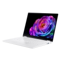 Acer Swift 14 AI SFE14-51T-94BZ Acer Swift 14 AI SFE14-51T-94BZ