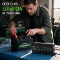 Qoltec 52672 12 В LiFePO4 зарядное устройство | 30 A | PF 0.9 Qoltec 52672 12 В LiFePO4 зарядное устройство | 30 A | PF 0.9