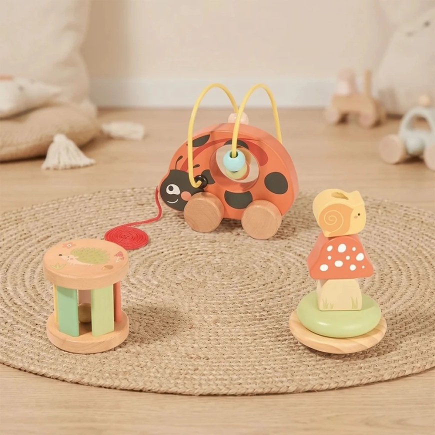 Tooky Toys TOOKY TOY 3в1 игрушечный набор для игр «Божья коровка» – 3