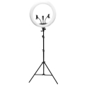 RIO RL18-EU/1.2 45см Регулируемый LED кольцевой свет RIO RL18-EU/1.2 45см Регулируемый LED кольцевой свет