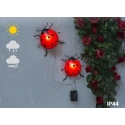Maximex PIECES Päikeseenergial töötavad aia tuled, LED-lepatriinud, 2 tk, 20 cm Maximex PIECES Päikeseenergial töötavad aia tuled, LED-lepatriinud, 2 tk, 20 cm