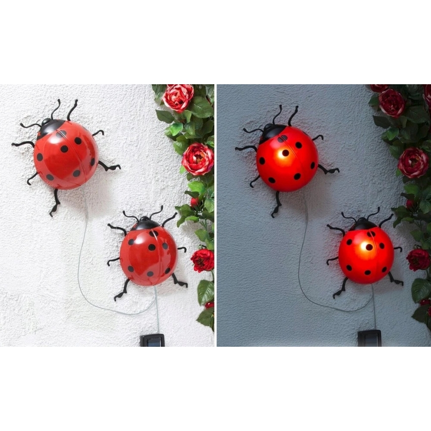 Maximex PIECES Solar-Powered Garden Lights, LED Ladybugs, 2 pcs, 20 cm – 3