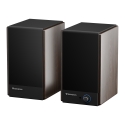 GENESIS ARSEN 502BT kahesuunaline Pronks Juhtmega ühendatud & juhtmevaba 60 W