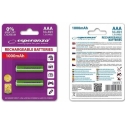 Esperanza Esperanza EZA101G 1000mAh 2-vnt. Esperanza Esperanza EZA101G 1000mAh 2-vnt.