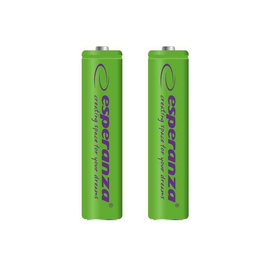 Esperanza Esperanza EZA101G 1000mAh 2-vnt. – 2