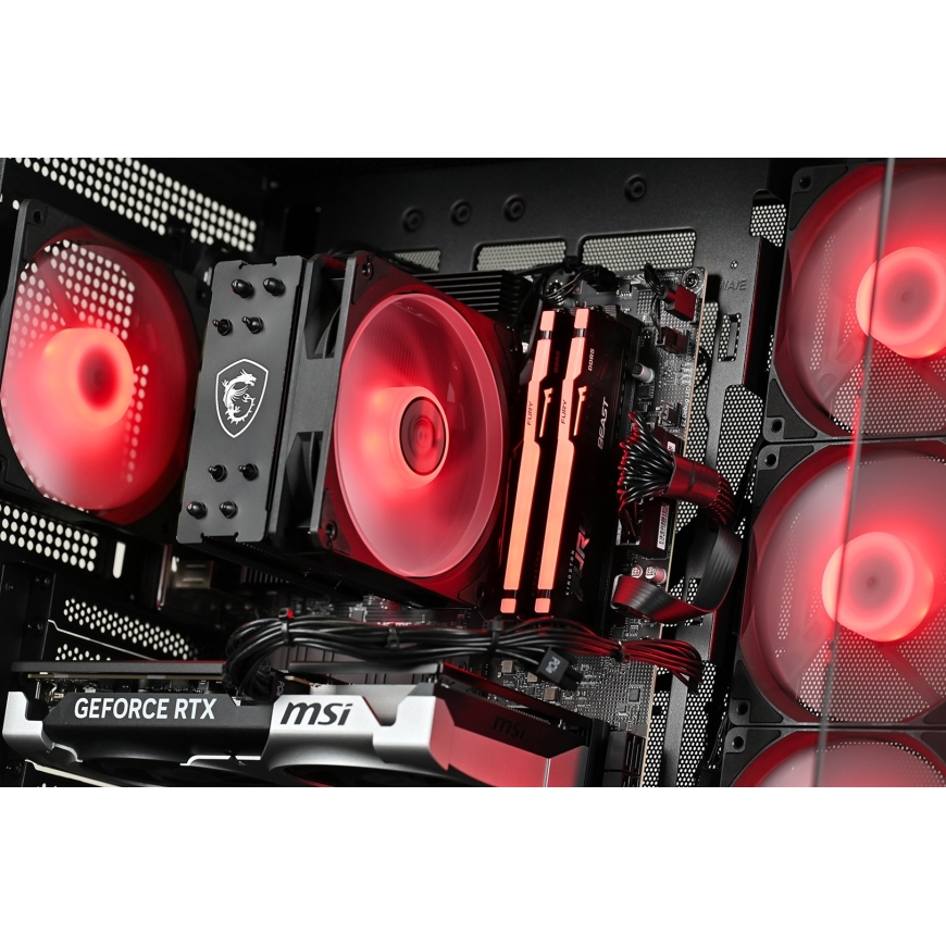 Actina 5901443452126 PC AMD Ryzen™ 5 5600 16 GB DDR4-SDRAM 500 GB SSD NVIDIA GeForce RTX 5060 Windows 11 Home Midi Tower Black – 5