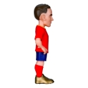 MINIX ESPANJA - FABIÁN RUIZ MINIX ESPANJA - FABIÁN RUIZ