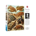 Palapeli Good Loot Imagination - Ernst Haeckel: Merikilpikonnat 1000 kpl. Palapeli Good Loot Imagination - Ernst Haeckel: Merikilpikonnat 1000 kpl.