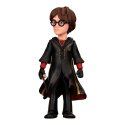 MINIX HARRY POTTER - HARRY POTTER JA TULIKUPPI MINIX HARRY POTTER - HARRY POTTER JA TULIKUPPI