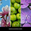 Car Air Freshener PINK - MAGNOLIA BLOSSOM & WOOD MILLEFIORI Car Air Freshener PINK - MAGNOLIA BLOSSOM & WOOD MILLEFIORI