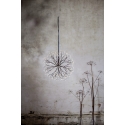 Star Trading Stardust ripustettava LED-valokoriste 40 cm, musta Star Trading Stardust ripustettava LED-valokoriste 40 cm, musta